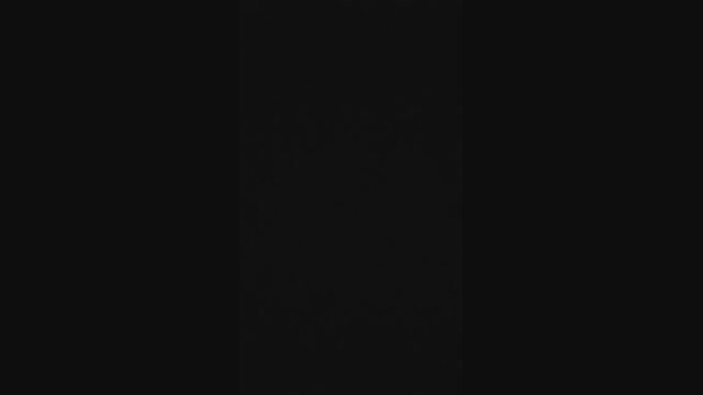 rex_2327  29-04-2022